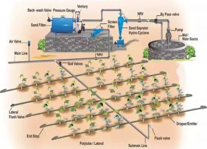 این تصویر پلن یک سیستم آبیاری قطره ای را نشان می دهد. در واقع نمونه نقشه ای از یک سیستم آبیاری قطره ای است که در آن چاه محل تامین آب و مغزن ذخیره آب فترسیون ، پمپ ها ، روش لوله کشی و رساندن آب به ریشه گیاه را به تصویر می کشد.
